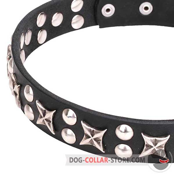 Stars and Studs on Wide Dog Collar