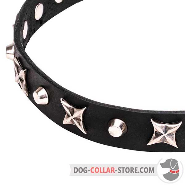 Chrome plated Cones and Stars on Narrow Dog Collar