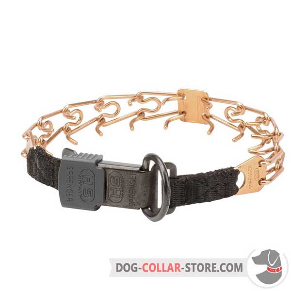 Dog training prong collar with reliable buckle
