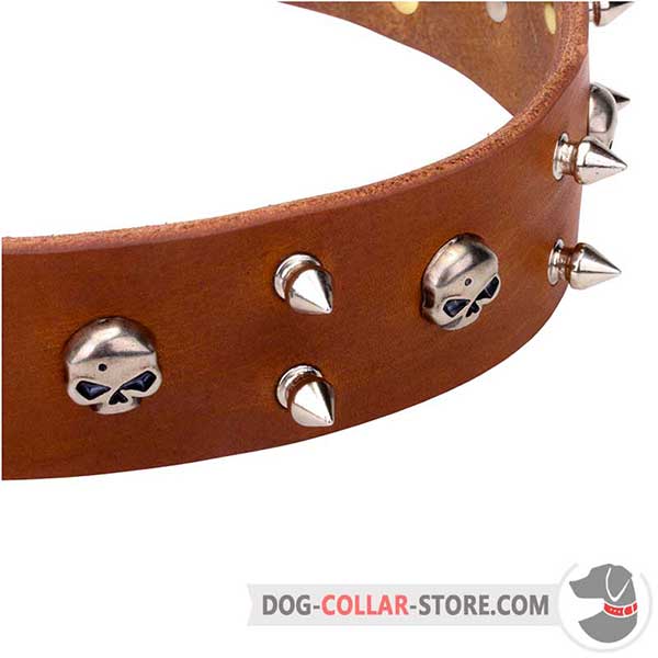 Leather Collar for Dogs with Original Nickel-Plated Decorations