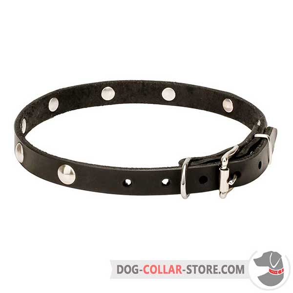 Leather Collar for Dog Walking, 3/4 inch