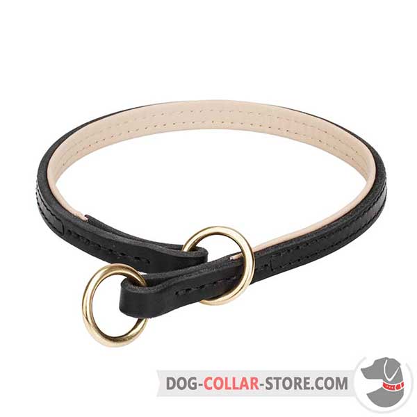 Leather Dog Slip Collar with Nappa Padding