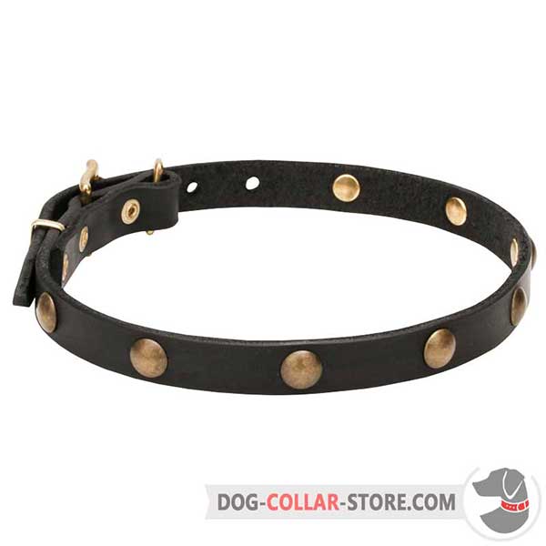 Dog Collar, 3/4 inch wide leather strap