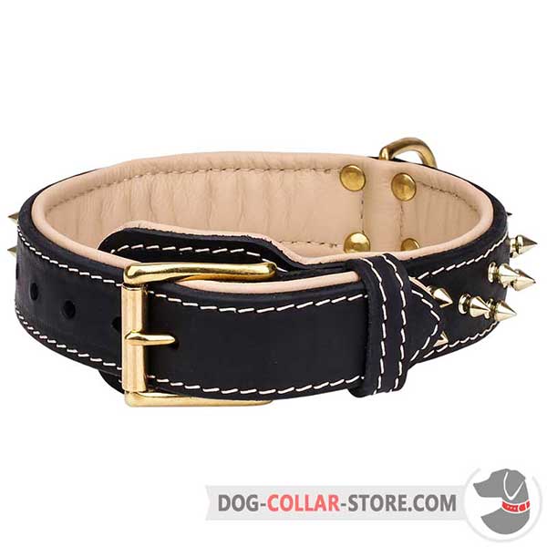 Spiked Design Padded Leather Dog Collar with Brass-Plated Buckle