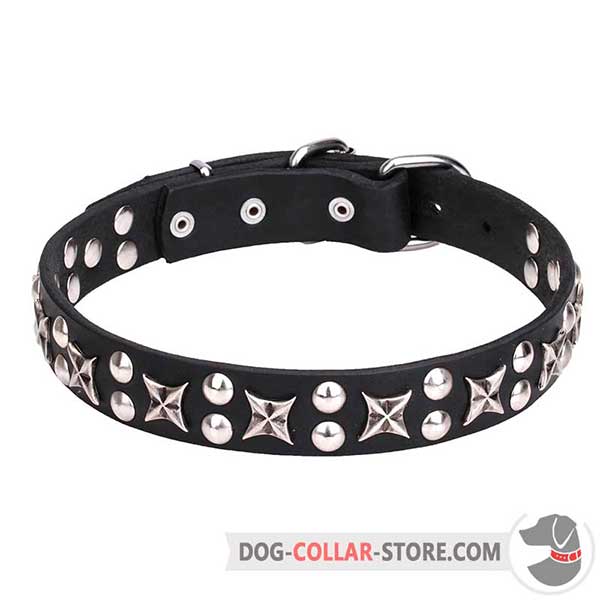 Decorated Dog Collar for walking and training