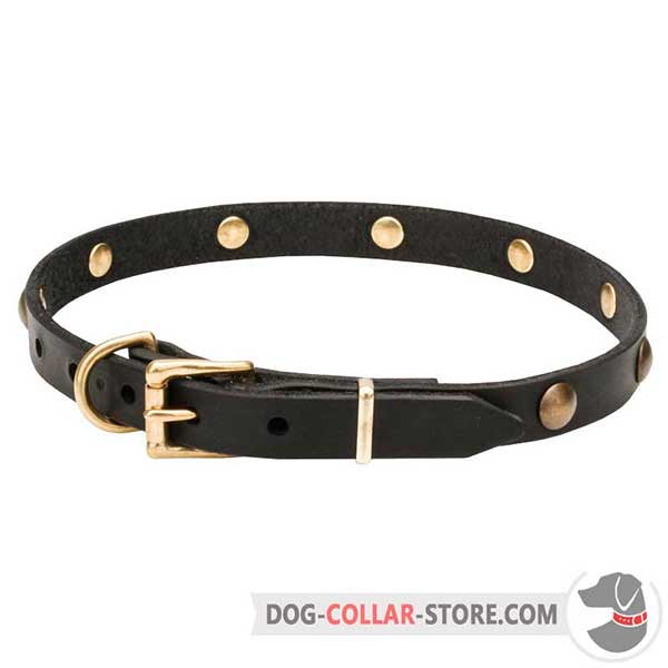 Leather Dog Collar, reliable belt buckle