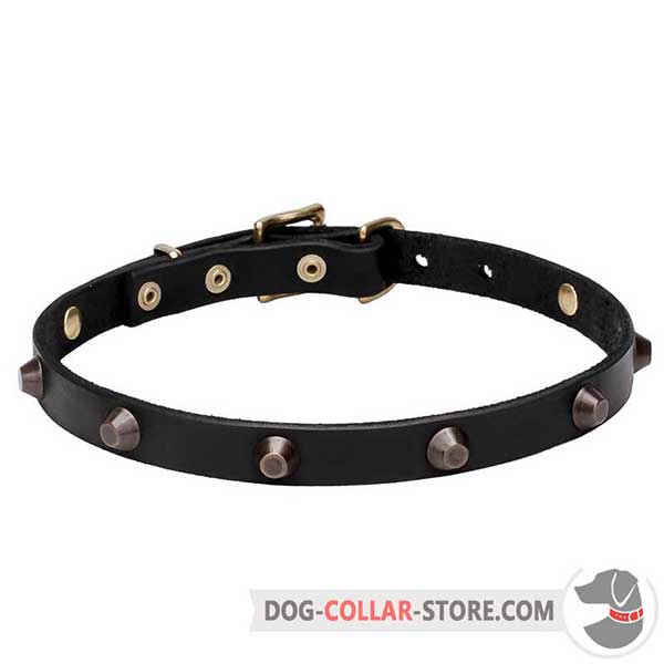 Strong Leather Dog Collar, 3/4 inch wide
