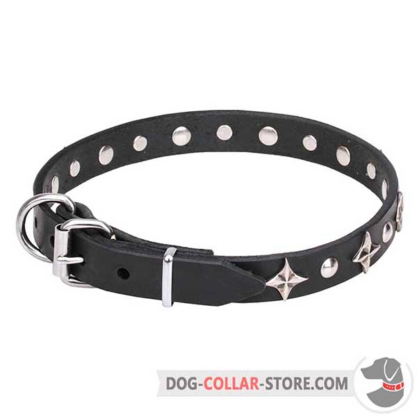 Decorated Dog Collar for walking