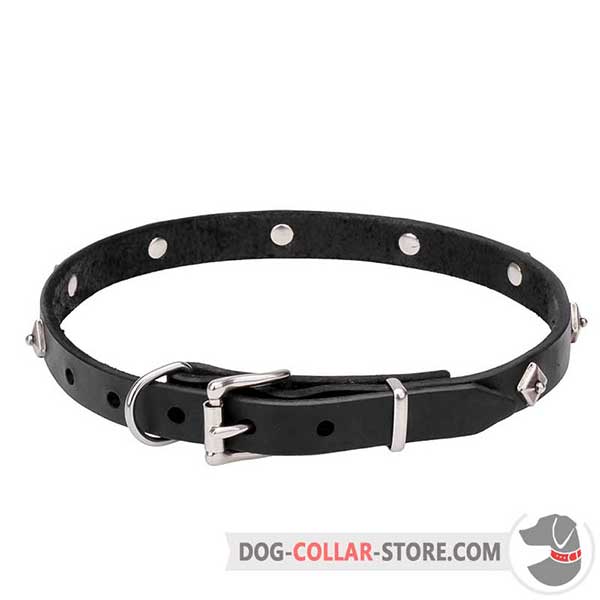 Dog Collar for Meduim and Large Breeds, chrome plated buckle