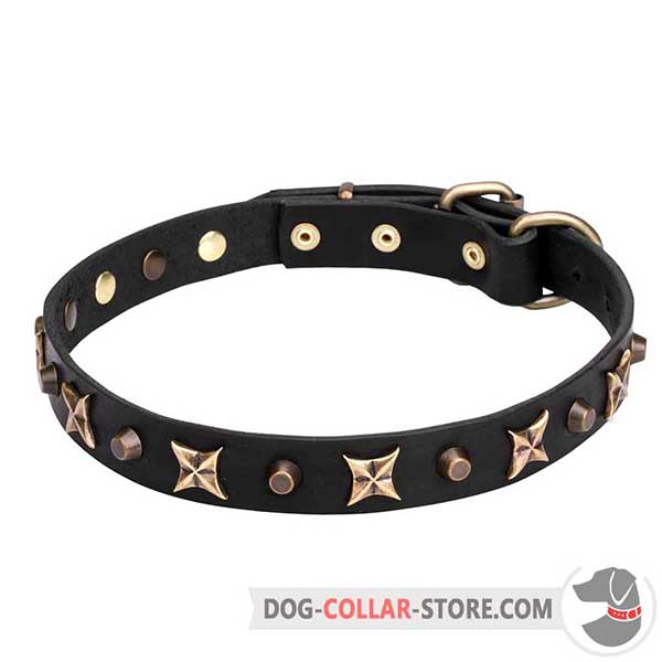 Leather Collar for walking, narrow strap
