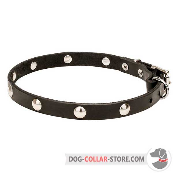 Dog Collar, lovely design