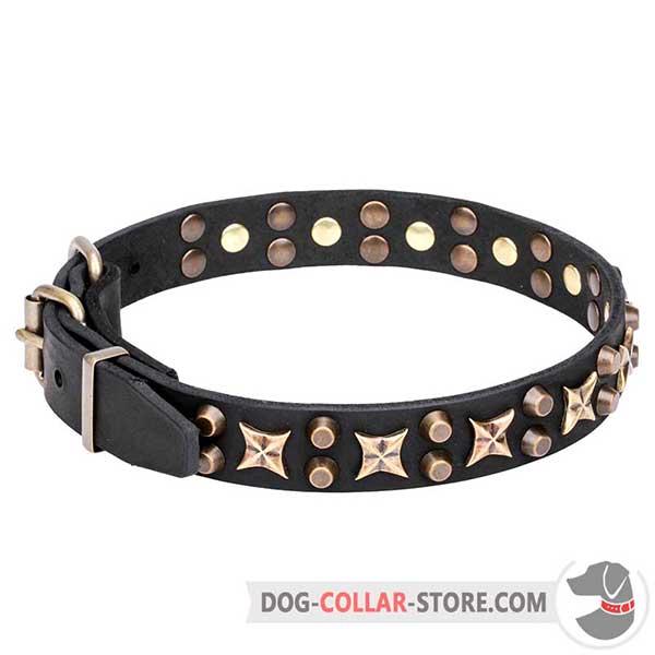 Leather Collar for walking and training, brass fittings