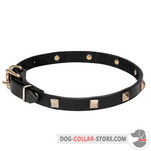 Dog Collar of full-grain leather with brass plated pyramids