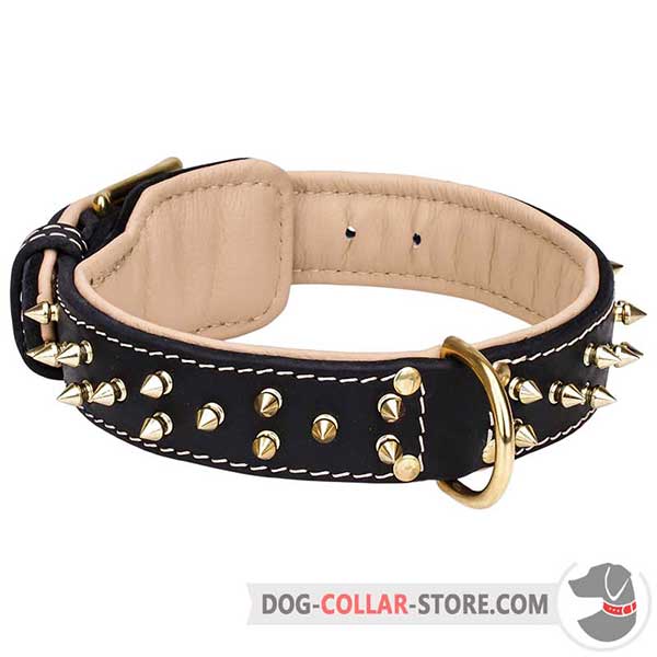 Strong Leather Dog Collar with decorative spikes