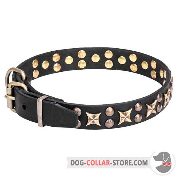 Leather Collar with decorative stars and studs
