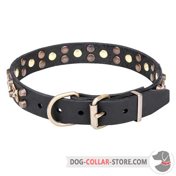 Dog Collar with strong brass hardware