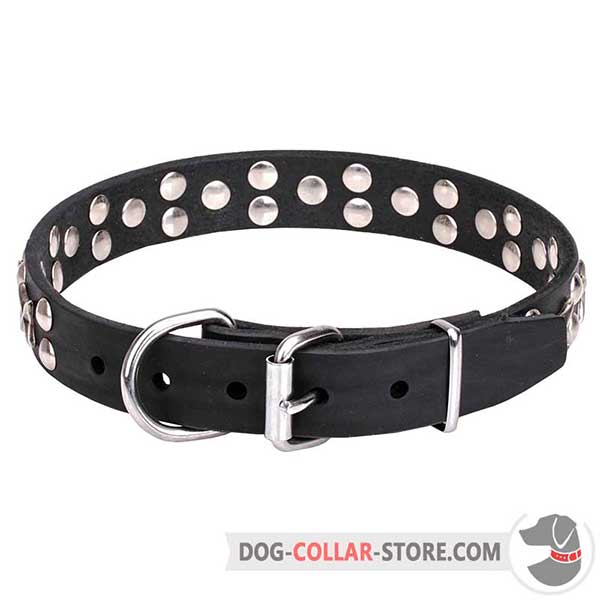 Dog Collar with chrome plated hardware
