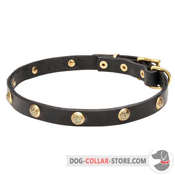 Leather Dog Collar, riveted decorations