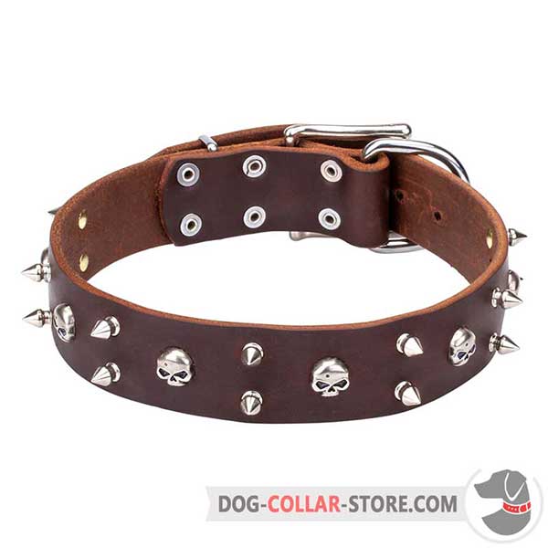 Everyday Walking Leather Dog Collar with unique adornment, brown