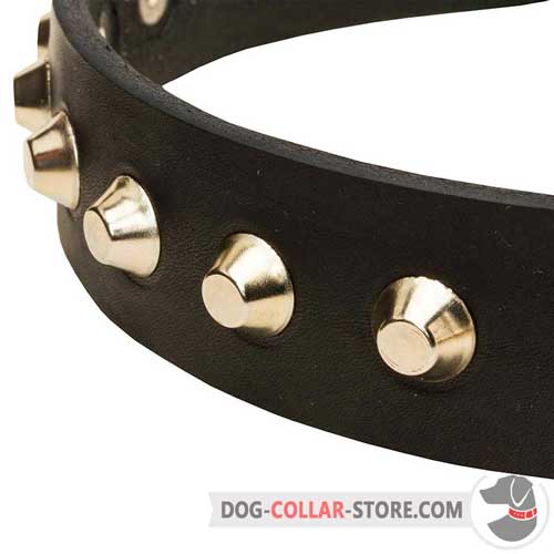 Leather Walking Collar for Dogs with Nickel-Plated Cones