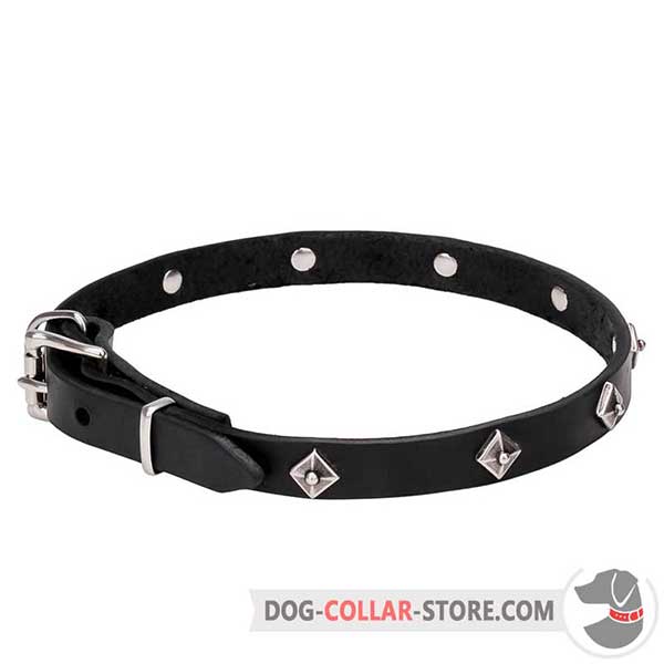 Dog Collar, narrow leather strap