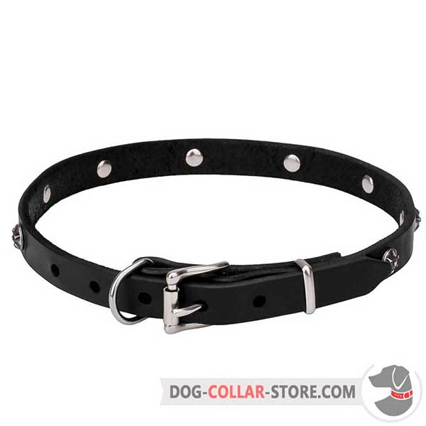 Adjustable Dog Collar of sturdy leather