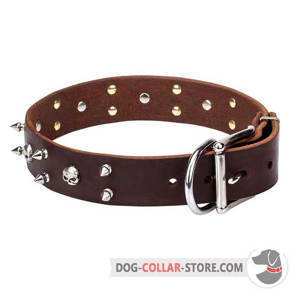 Leather Dog Collar with nickel hardware