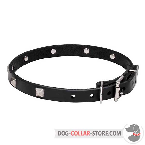 Dog Collar with chrome plated fittings
