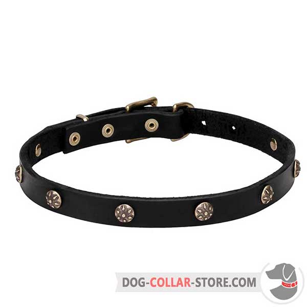 Dog Collar of narrow leather strap