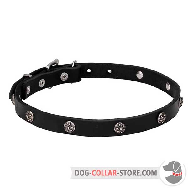 Dog Collar for stylish promenades