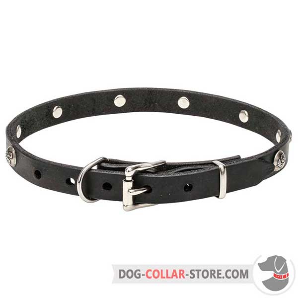 Dog Collar: riveted nickel-plated hardware