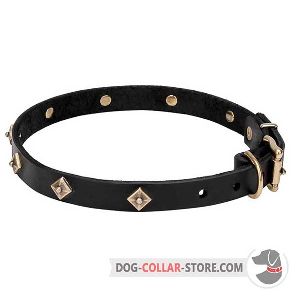 Dog Collar with pyramidal studs