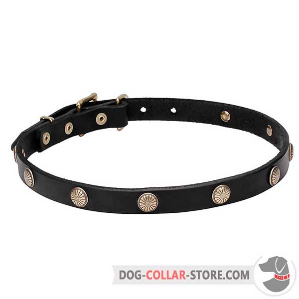 Dog Collar with studs: flower petals engraving
