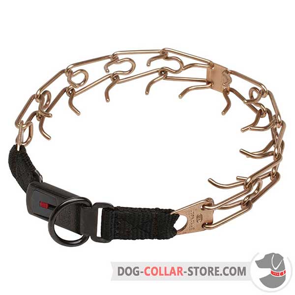 Dog training pinch collar equipped with click lock buckle