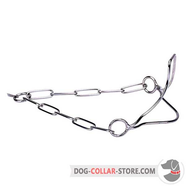 Show dog collar of stainless steel