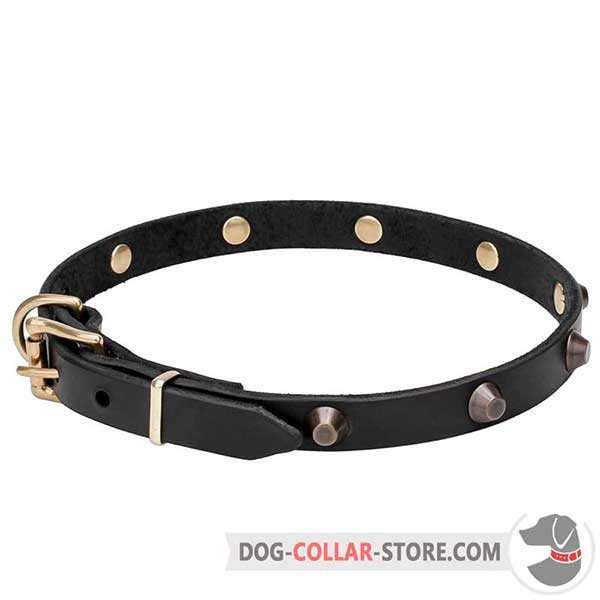 Leather Dog Walking Collar, wide range of sizes