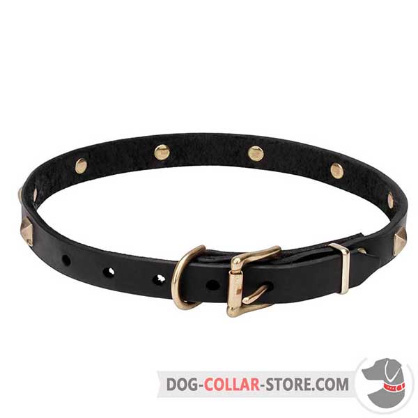 Dog Collar of sturdy leather, back side