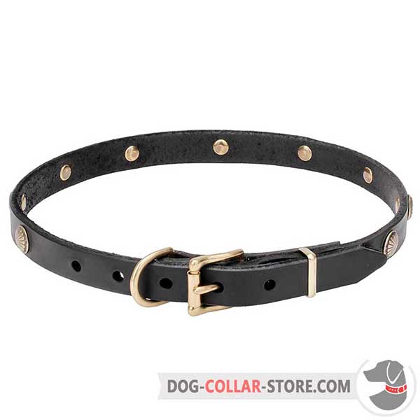 Dog Collar of genuine leather, belt-type buckle for adjustment