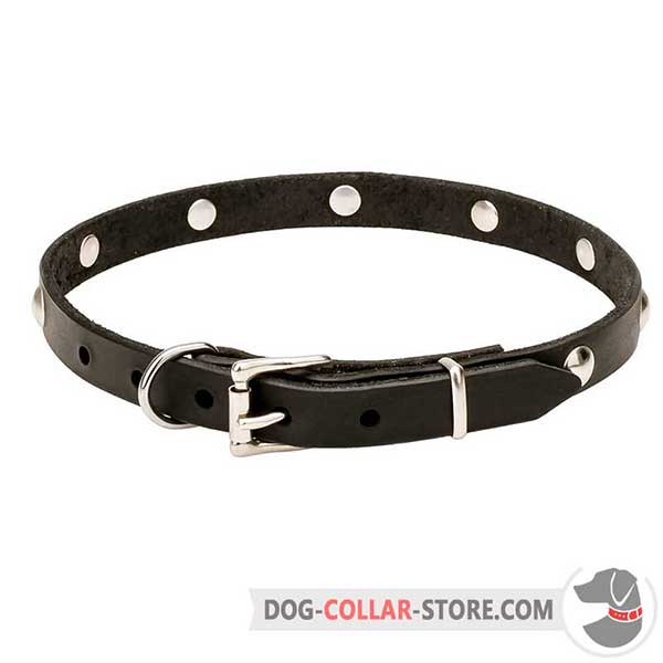 Leather Dog Collar, reliable fittings