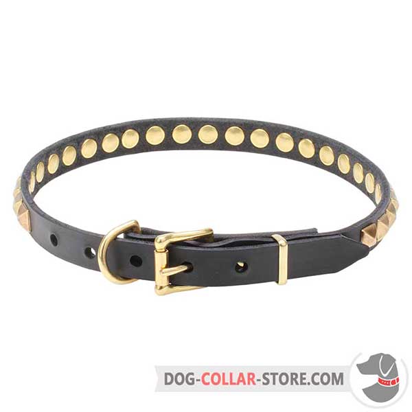 Leather Dog     Collar, strong fittings