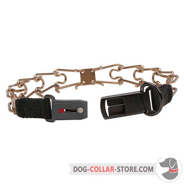 Dog training prong collar, back view