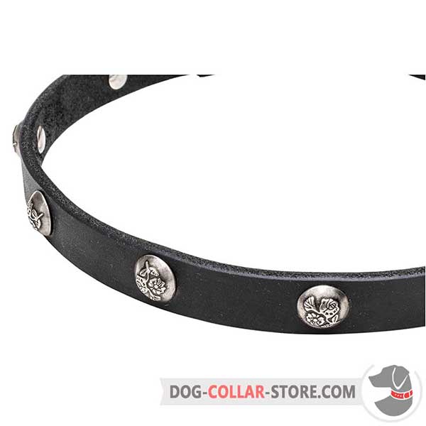 Nickel-plated     studs with engraved flowers on dog collar