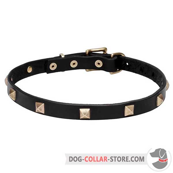 Dog Collar with brass plated fittings
