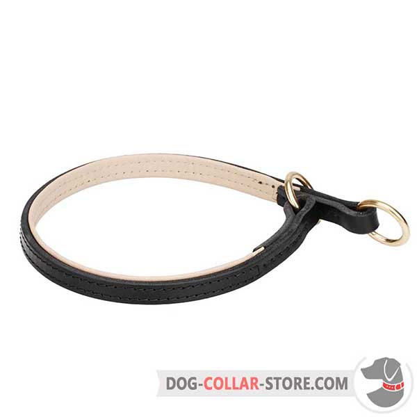 Nappa Padded Leather Dog Choke Collar for Behaviour Correction