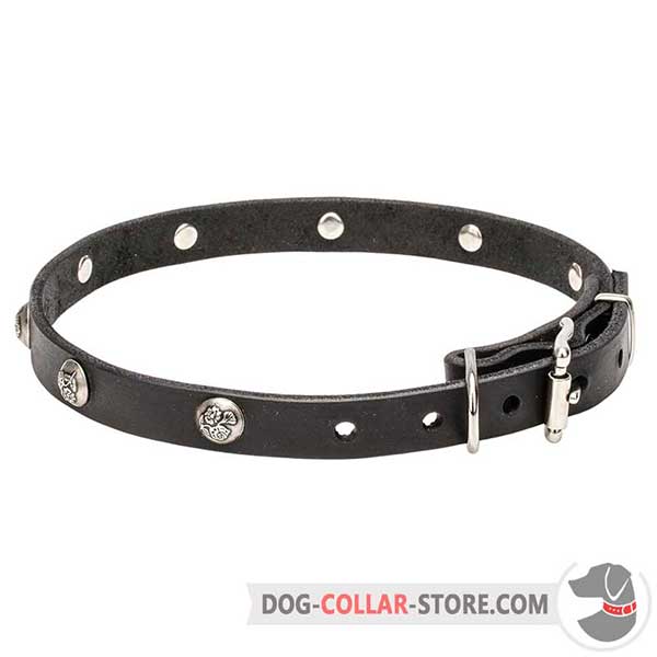 Dog Leather Collar, perfect design