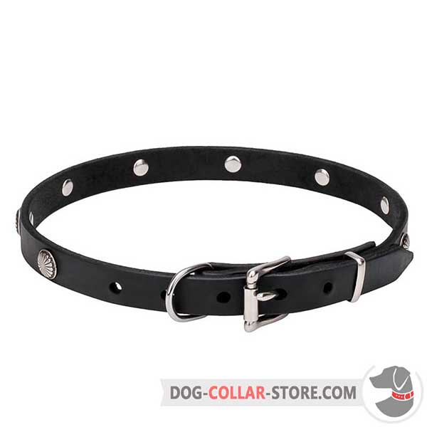 Dog Collar with belt-type buckle