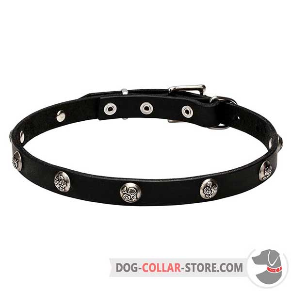 Leather Dog Collar, beautiful design