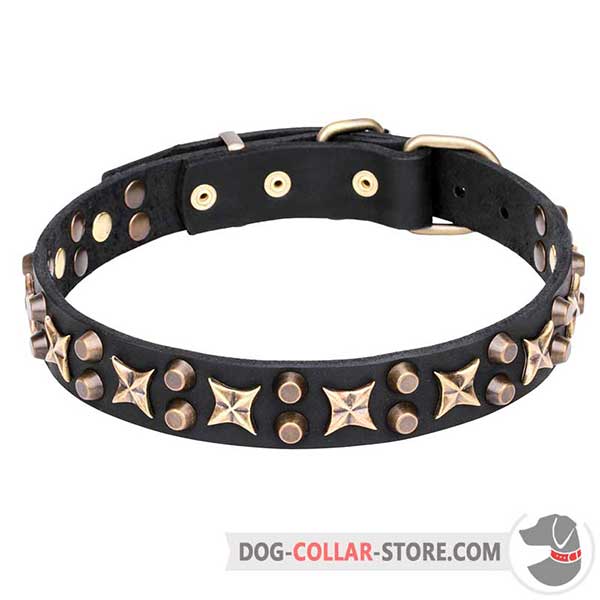 Leather Dog Collar with stars and cones