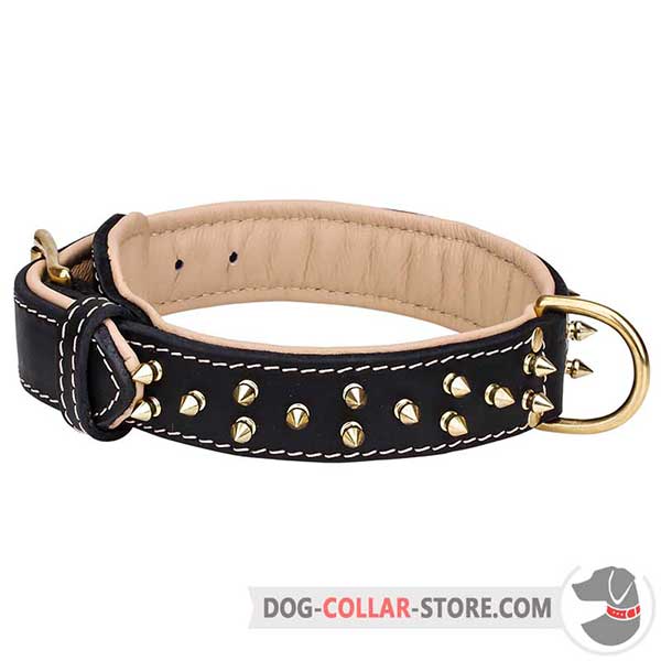 Leather Dog Collar with brass-plated spikes