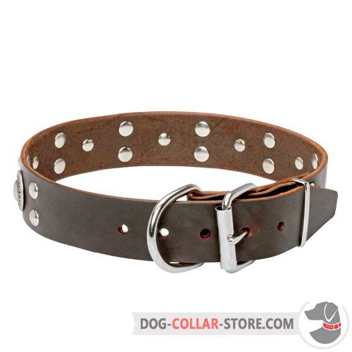 Leather Dog Collar of modern design